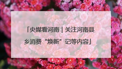 央媒看河南｜关注河南县乡消费“焕新”记等内容