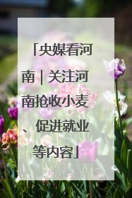 央媒看河南｜关注河南抢收小麦、促进就业等内容