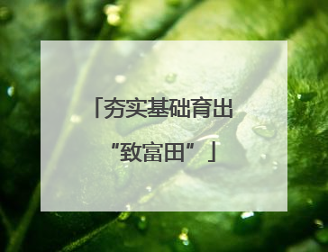 夯实基础育出“致富田”