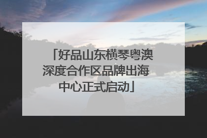好品山东横琴粤澳深度合作区品牌出海中心正式启动