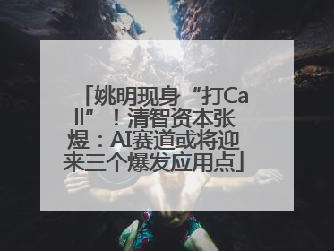 姚明现身“打Call”！清智资本张煜：AI赛道或将迎来三个爆发应用点