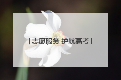 志愿服务 护航高考