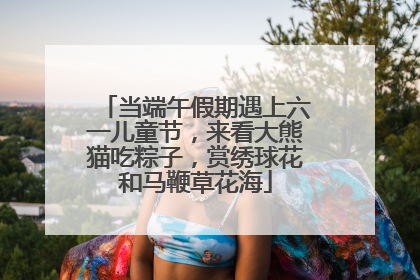当端午假期遇上六一儿童节，来看大熊猫吃粽子，赏绣球花和马鞭草花海