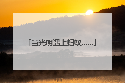 当光明遇上蚂蚁……