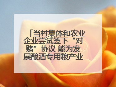 当村集体和农业企业尝试签下“对赌”协议 能为发展酿酒专用粮产业带来哪些利好？