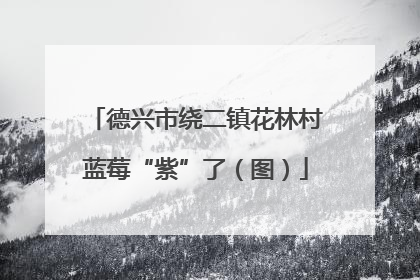 德兴市绕二镇花林村蓝莓“紫”了（图）