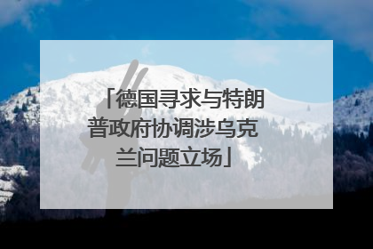 德国寻求与特朗普政府协调涉乌克兰问题立场