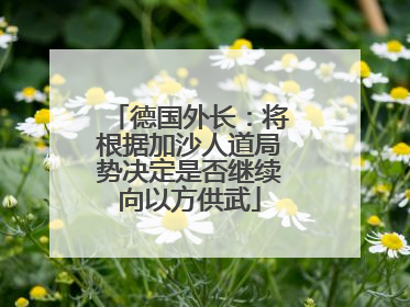 德国外长：将根据加沙人道局势决定是否继续向以方供武
