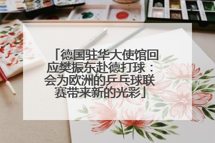 德国驻华大使馆回应樊振东赴德打球：会为欧洲的乒乓球联赛带来新的光彩