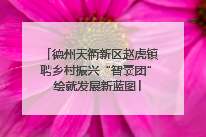 德州天衢新区赵虎镇聘乡村振兴“智囊团” 绘就发展新蓝图