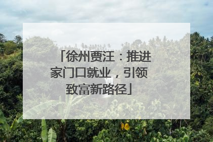 徐州贾汪：推进家门口就业，引领致富新路径