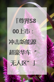 尊界S800上市：冲击新能源超豪华车“无人区”
