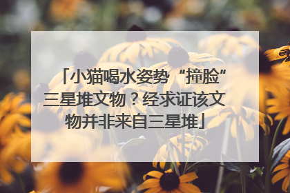 小猫喝水姿势“撞脸”三星堆文物？经求证该文物并非来自三星堆