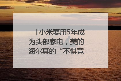 小米要用5年成为头部家电，美的海尔真的“不惧竞争”？｜热财经