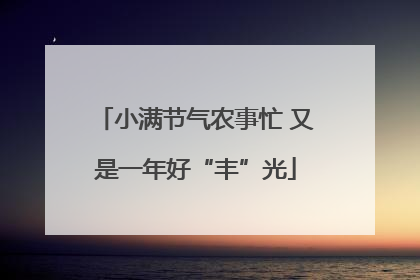 小满节气农事忙 又是一年好“丰”光