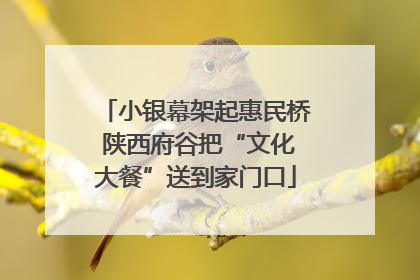 小银幕架起惠民桥 陕西府谷把“文化大餐”送到家门口