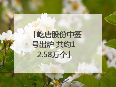 屹唐股份中签号出炉 共约12.58万个