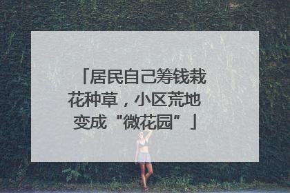 居民自己筹钱栽花种草，小区荒地变成“微花园”