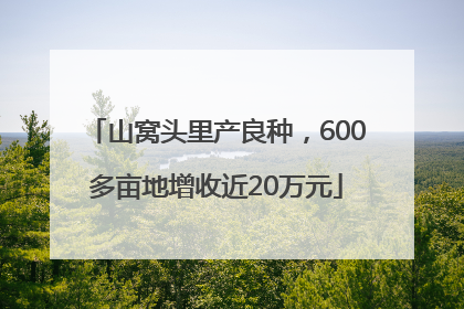 山窝头里产良种，600多亩地增收近20万元