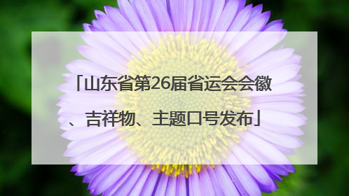 山东省第26届省运会会徽、吉祥物、主题口号发布
