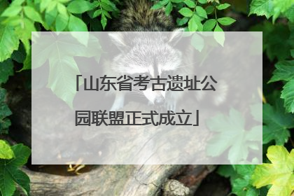 山东省考古遗址公园联盟正式成立