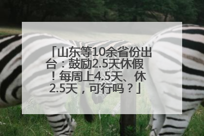 山东等10余省份出台：鼓励2.5天休假！每周上4.5天、休2.5天，可行吗？