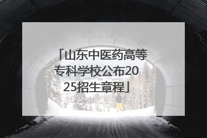 山东中医药高等专科学校公布2025招生章程