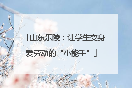 山东乐陵：让学生变身爱劳动的“小能手”