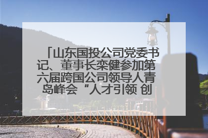 山东国投公司党委书记、董事长栾健参加第六届跨国公司领导人青岛峰会“人才引领 创新驱动”人力资源高质量发展对话会