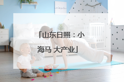 山东日照：小海马 大产业