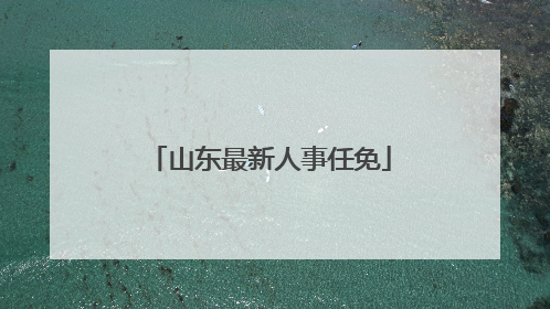 山东最新人事任免