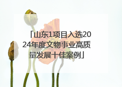 山东1项目入选2024年度文物事业高质量发展十佳案例