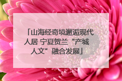 山海经奇境邂逅现代人居 宁夏贺兰“产城人文”融合发展