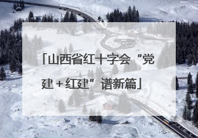 山西省红十字会“党建＋红建”谱新篇
