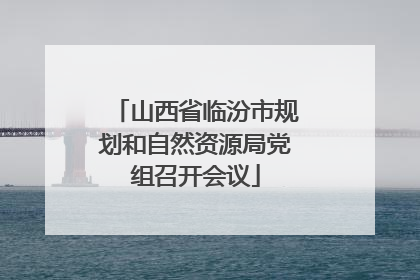 山西省临汾市规划和自然资源局党组召开会议