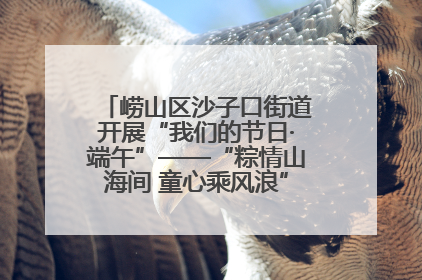 崂山区沙子口街道开展“我们的节日·端午”——“粽情山海间 童心乘风浪”文明实践活动