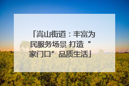 嵩山街道：丰富为民服务场景 打造“家门口”品质生活