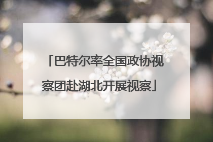 巴特尔率全国政协视察团赴湖北开展视察