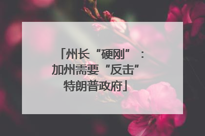 州长“硬刚”：加州需要“反击”特朗普政府