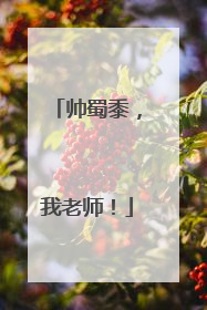 帅蜀黍，我老师！