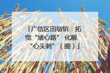 广信区田墩镇：拓宽“堵心路” 化解“心头刺”（图）