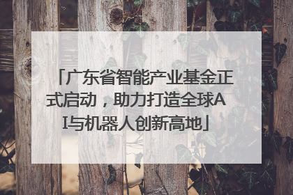 广东省智能产业基金正式启动，助力打造全球AI与机器人创新高地