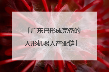 广东已形成完备的人形机器人产业链