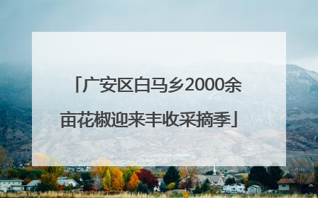 广安区白马乡2000余亩花椒迎来丰收采摘季