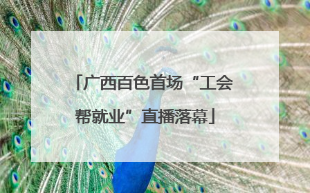 广西百色首场“工会帮就业”直播落幕