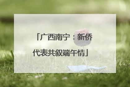广西南宁：新侨代表共叙端午情