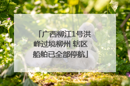 广西柳江1号洪峰过境柳州 辖区船舶已全部停航