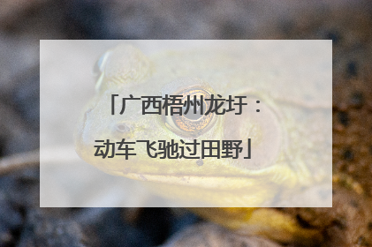 广西梧州龙圩：动车飞驰过田野
