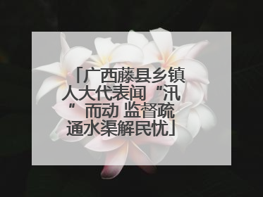 广西藤县乡镇人大代表闻“汛”而动 监督疏通水渠解民忧