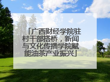 广西财经学院驻村干部搭桥，新闻与文化传播学院赋能油茶产业振兴